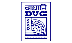 Damodar Valley Corporation Business Logo